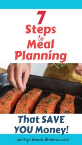 7 Steps to Meal Planning that Save You Money