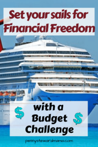 Start your journey to financial freedom by participating in the budget challenge! 