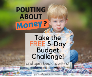 Do you need a jumpstart to gain control of your finances? Start with the budget challenge! 