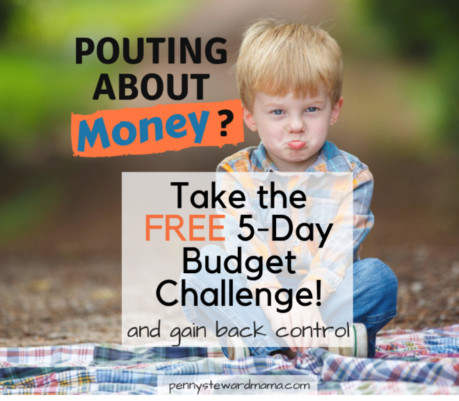 Why You Should Do A Budget Challenge
